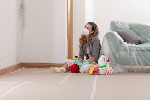 Reliable Mold Remediation contractor in Saint Paul Park, MN by WQB Mold Removal
